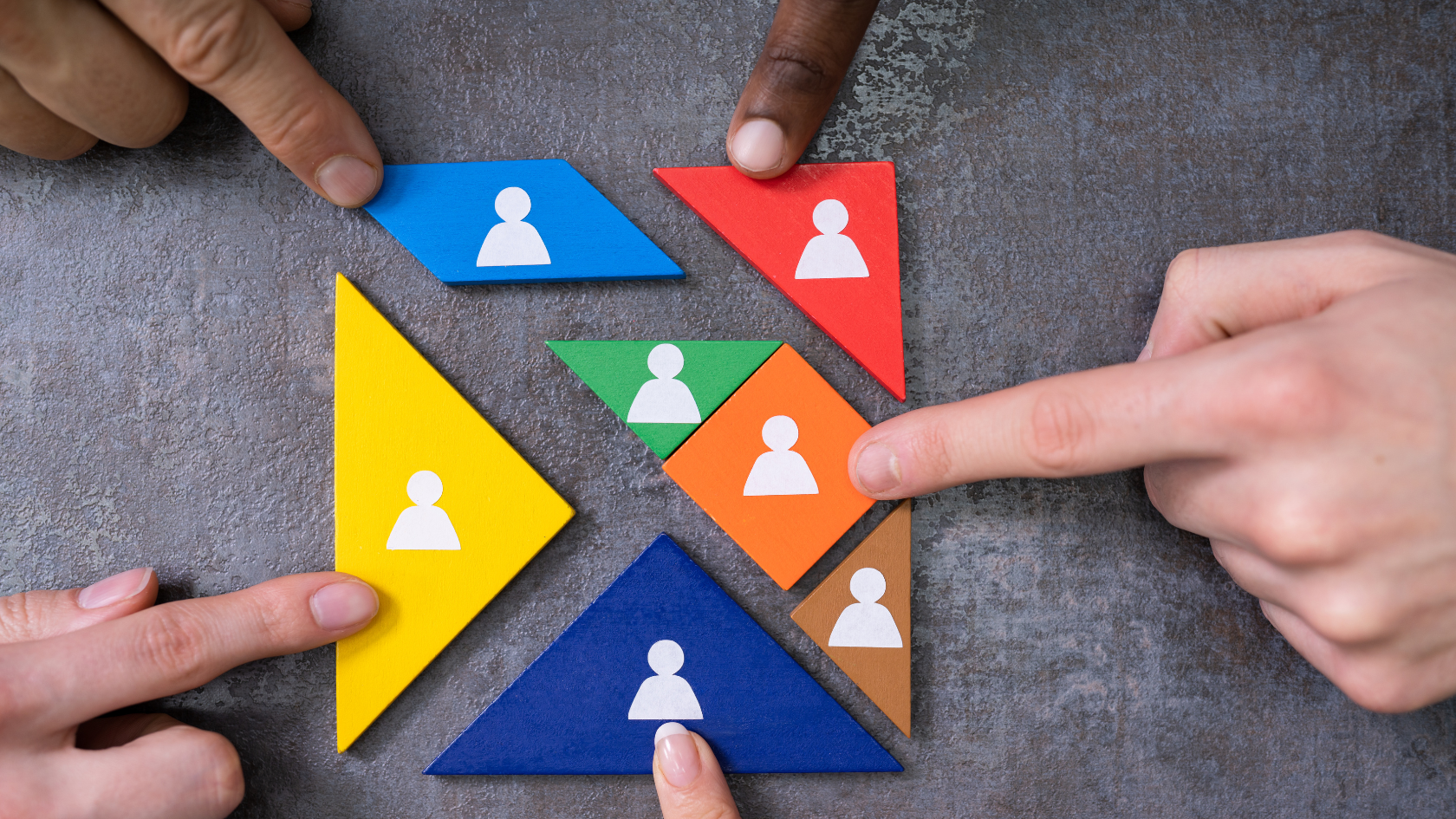 Organizational Capability Assessment