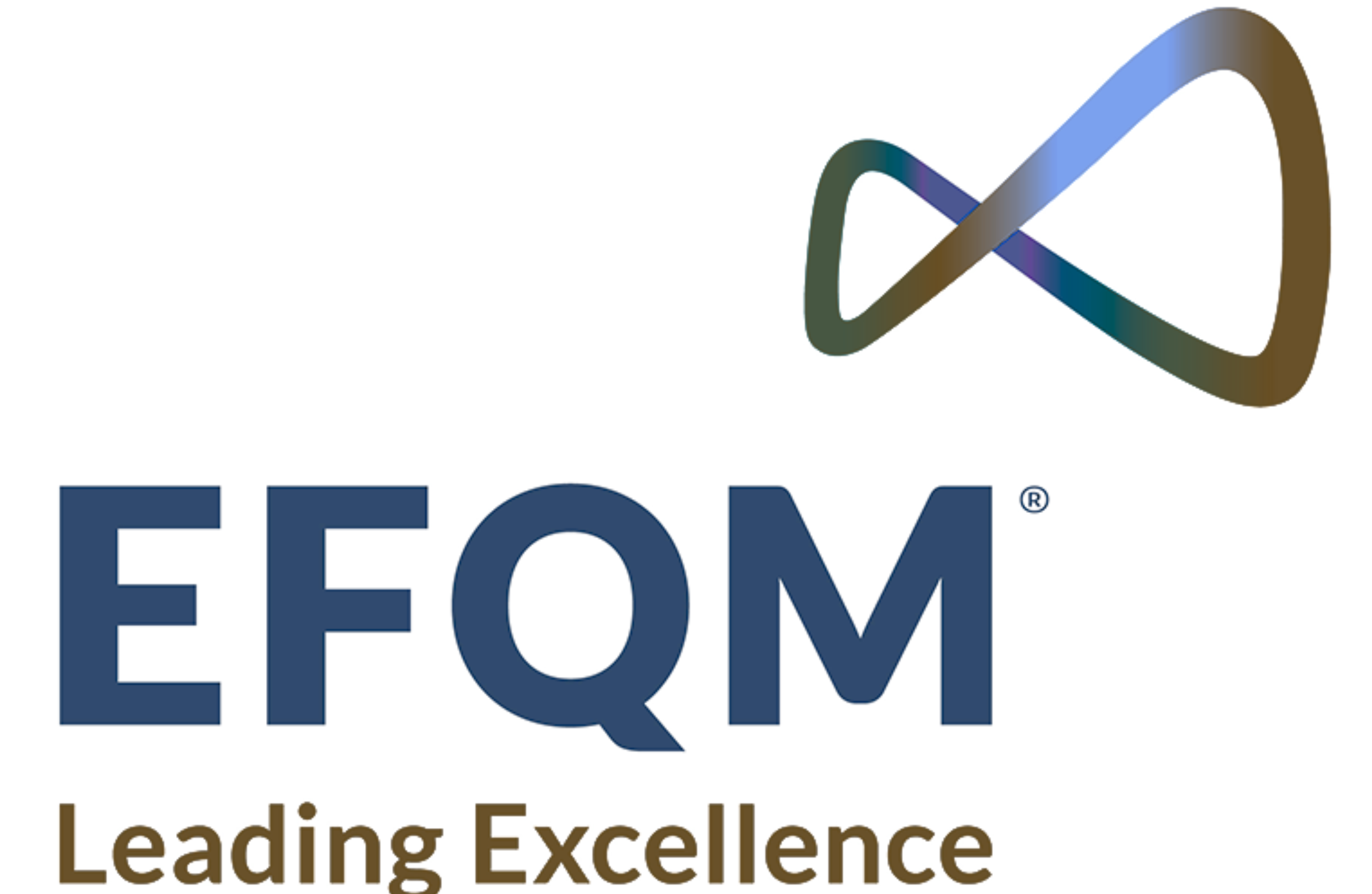 EFQM Excellence Model Assessment